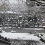 観測史上初の１１月の積雪　埼玉の公園墓地　庄和苑　