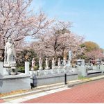 桜開花予想　埼玉県の公園墓地　庄和苑